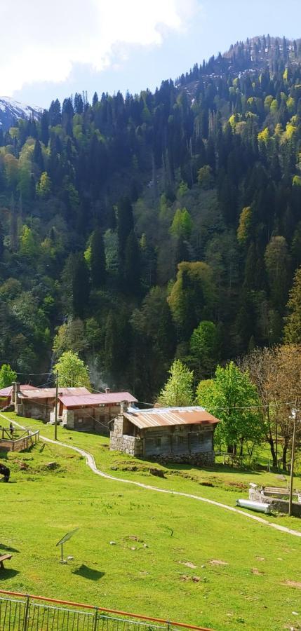 Ayder Vesile Otel Zewnętrze zdjęcie